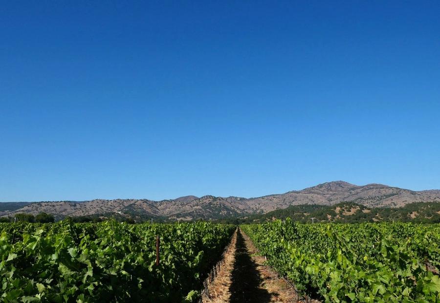 In the heart of wine country, Yountville, California, USA