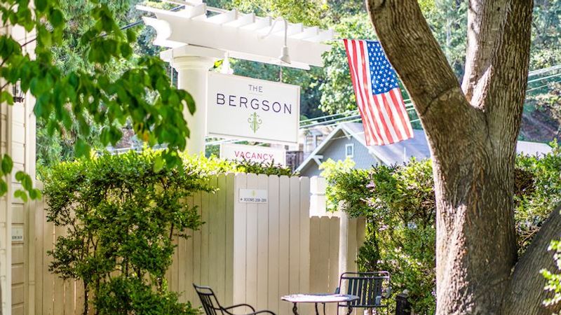 Photo of THE BERGSON