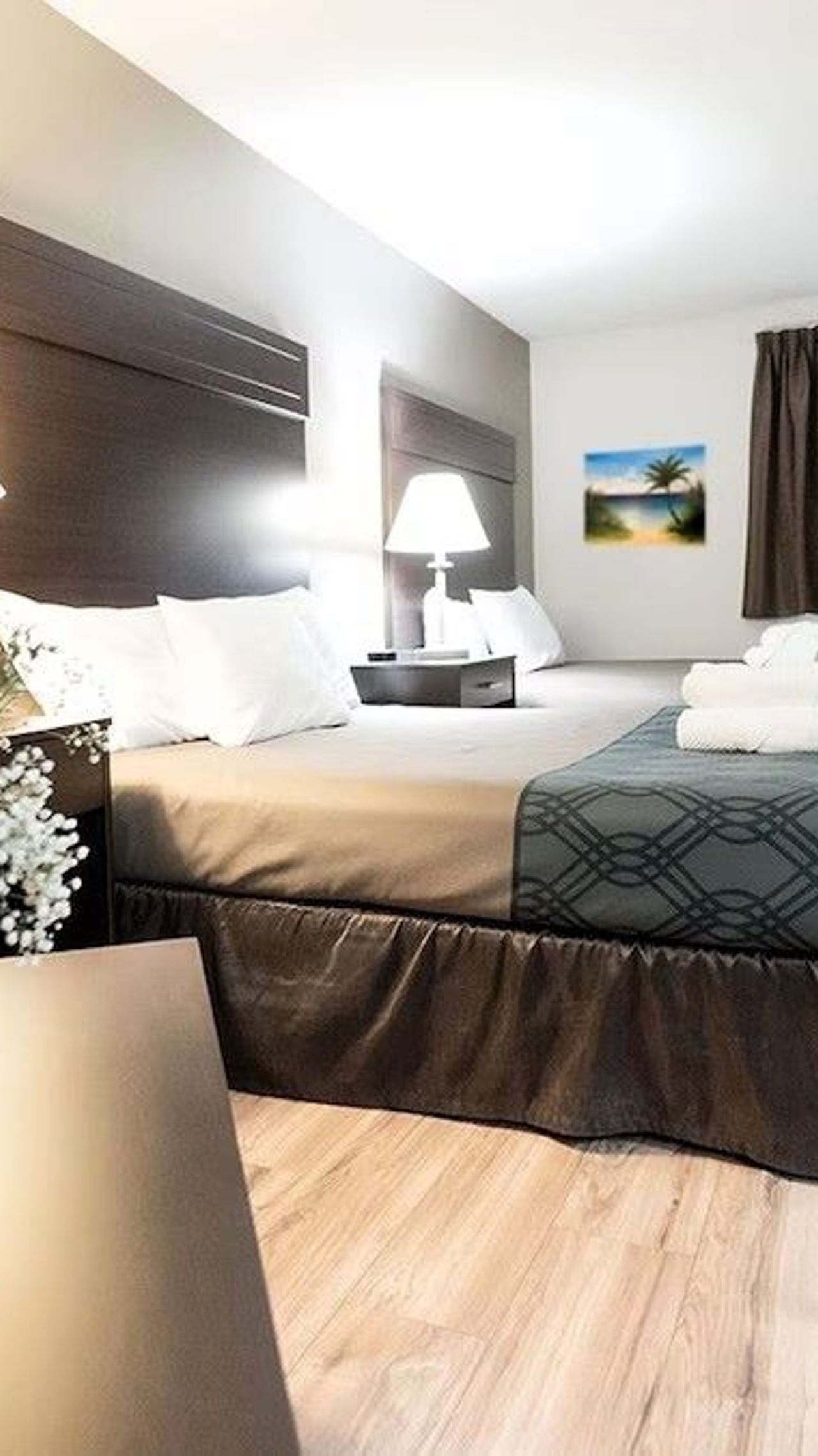 Ocean Star Inn - Pet Double Room