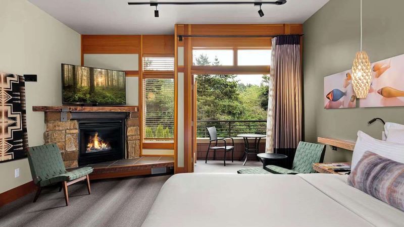 Willows Lodge - Room (Nicer), 1 King Bed, Accessible