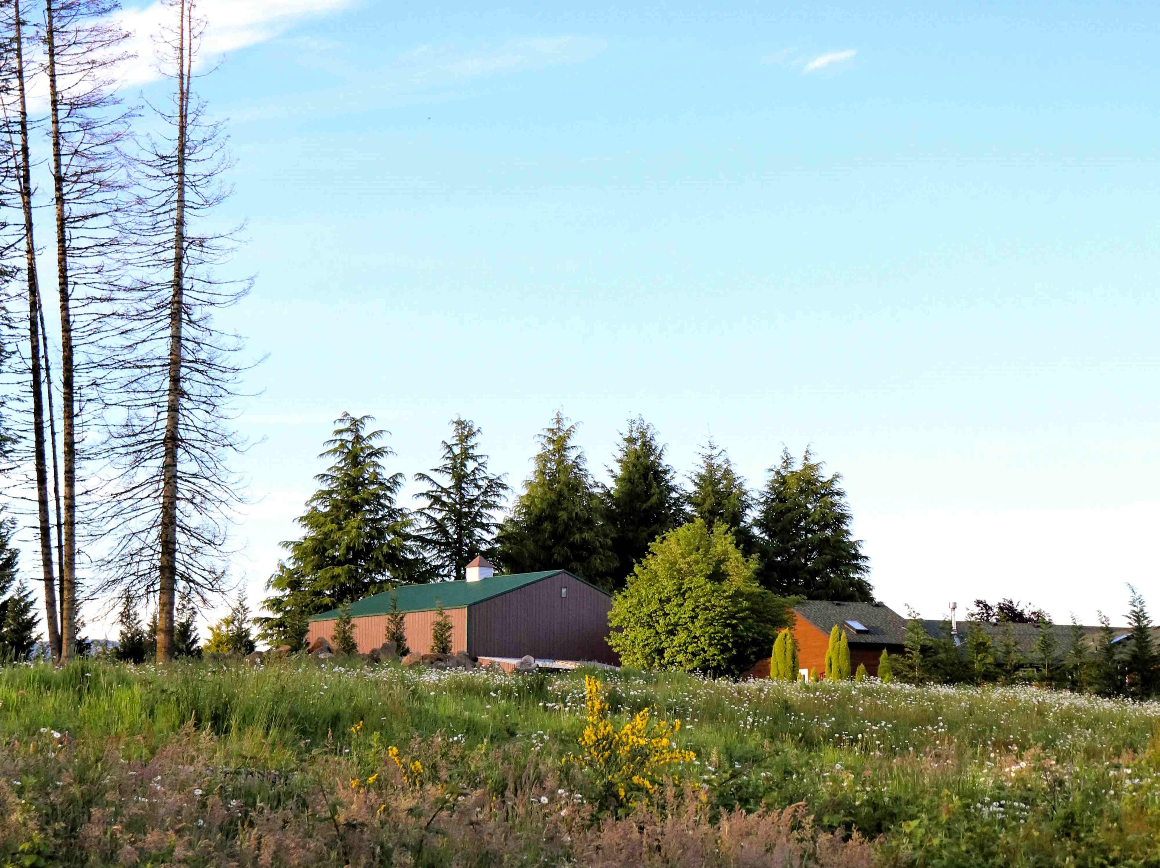 Small house on a field in Camas, WA, USA 