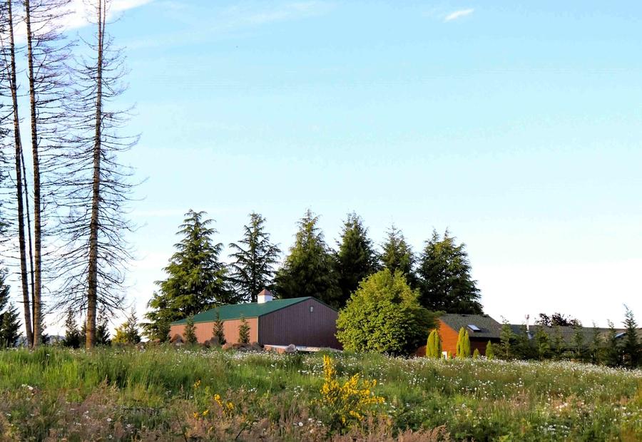 Small house on a field in Camas, WA, USA
