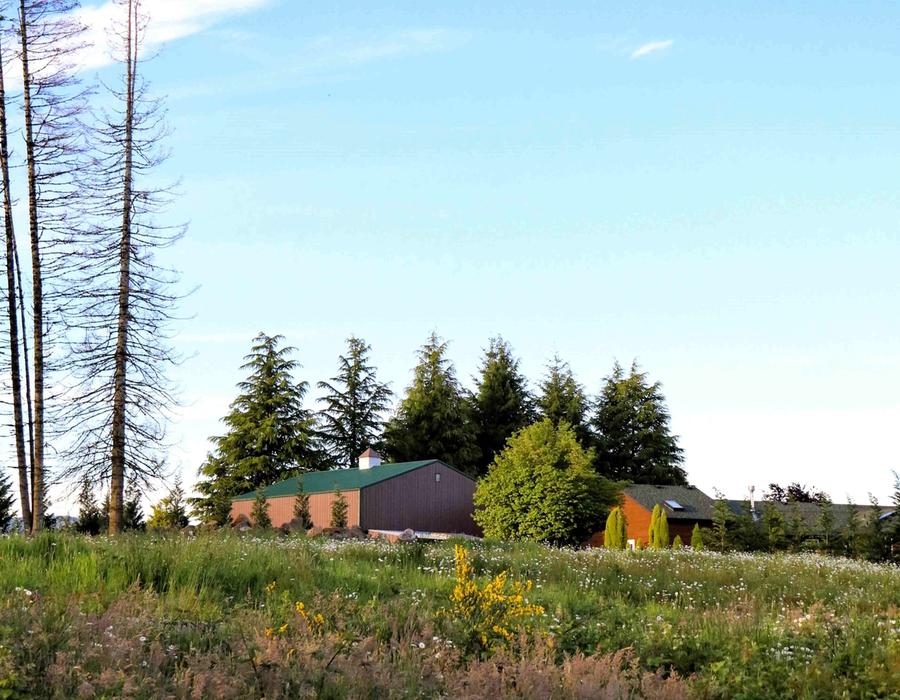 Small house on a field in Camas, WA, USA