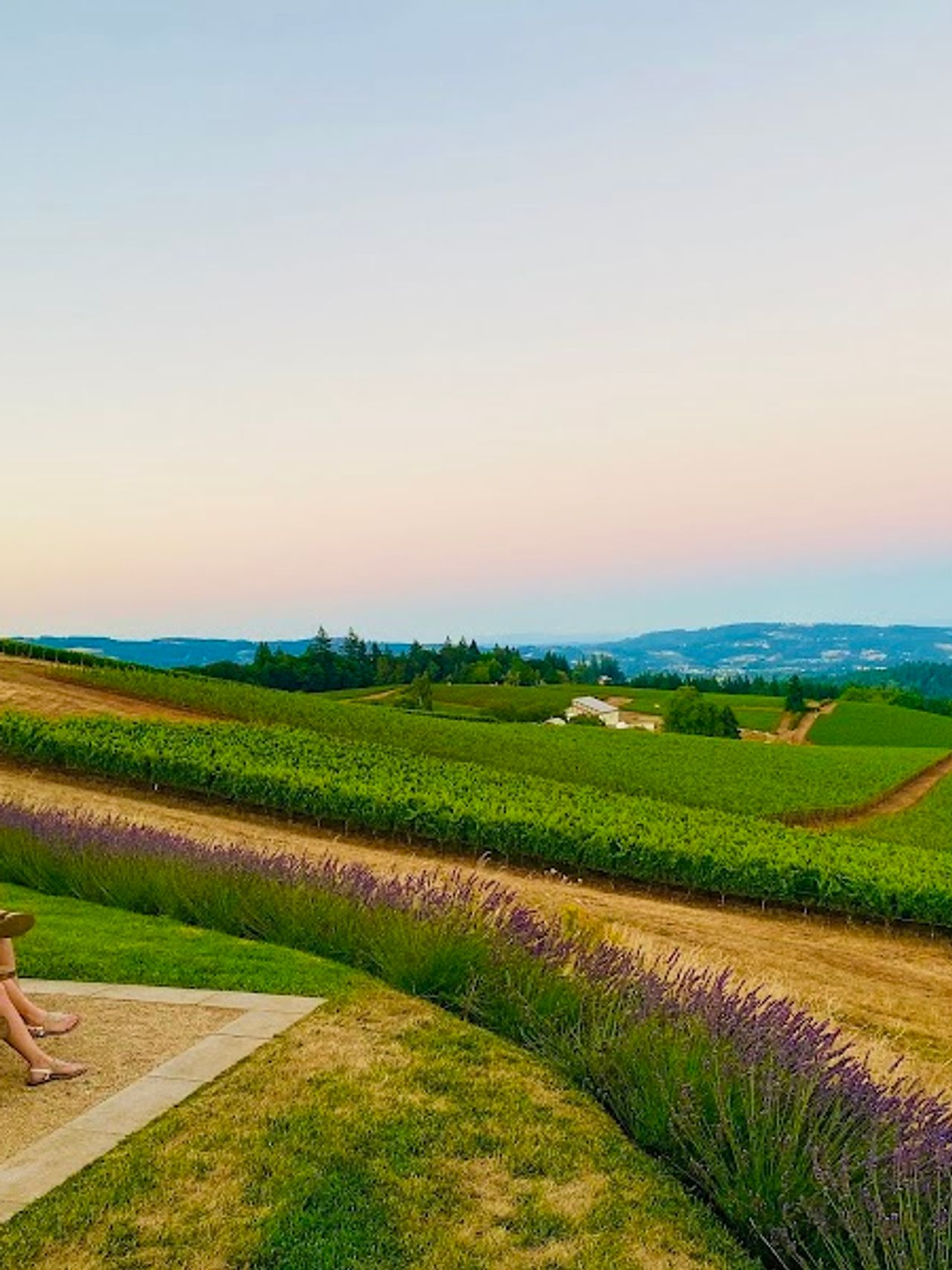 Photo of Black Walnut Inn & Vineyard - Outdoor patio, Vineyard view