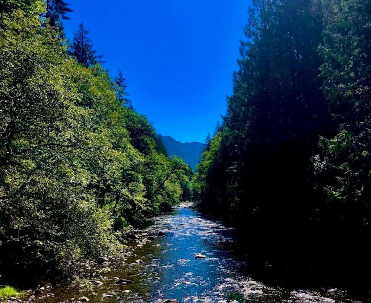 Photo of Mt Hood Village Campground