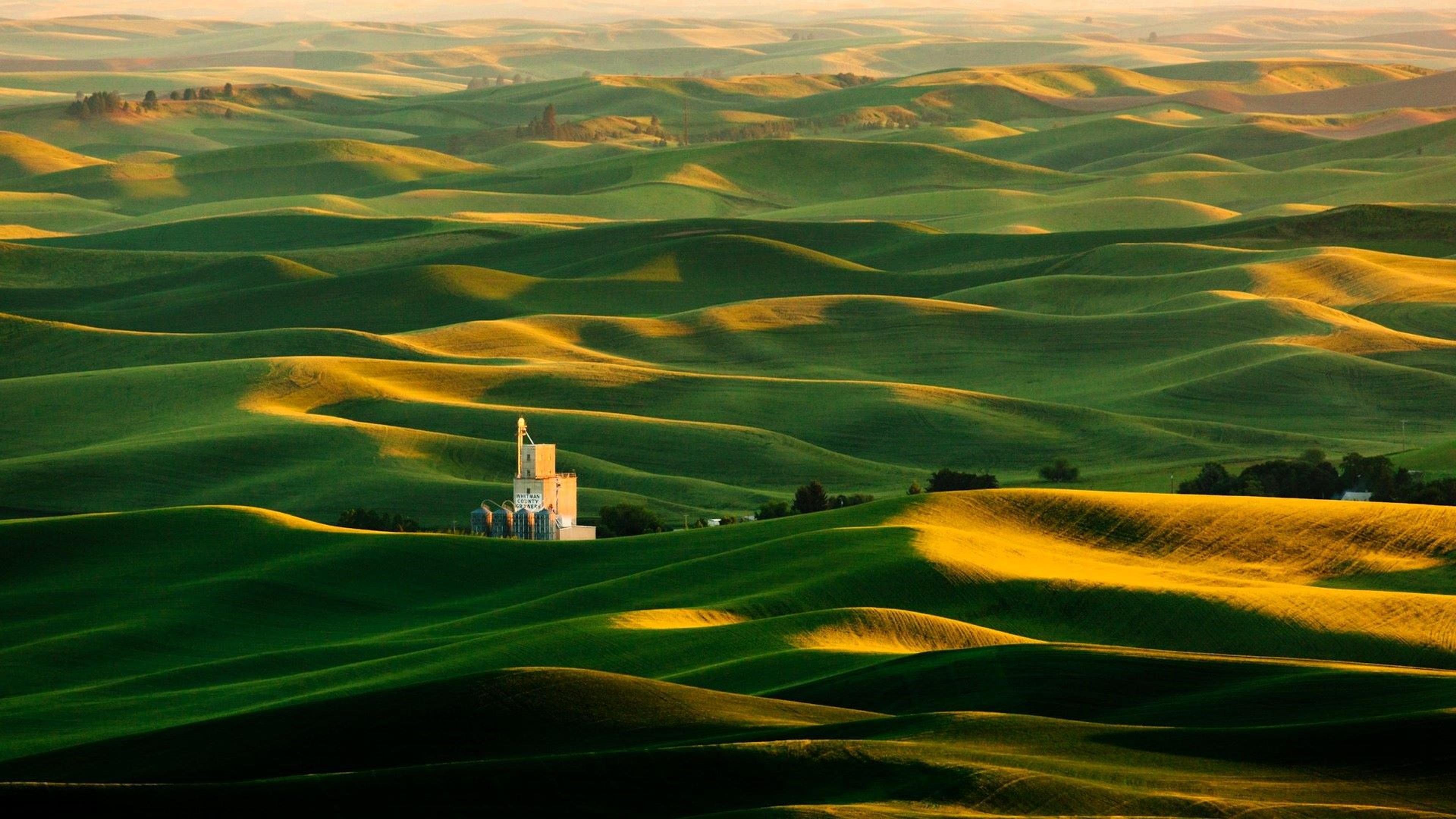 Steptoe Butte near Colfax, WA, showing the rolling hills of the Palouse