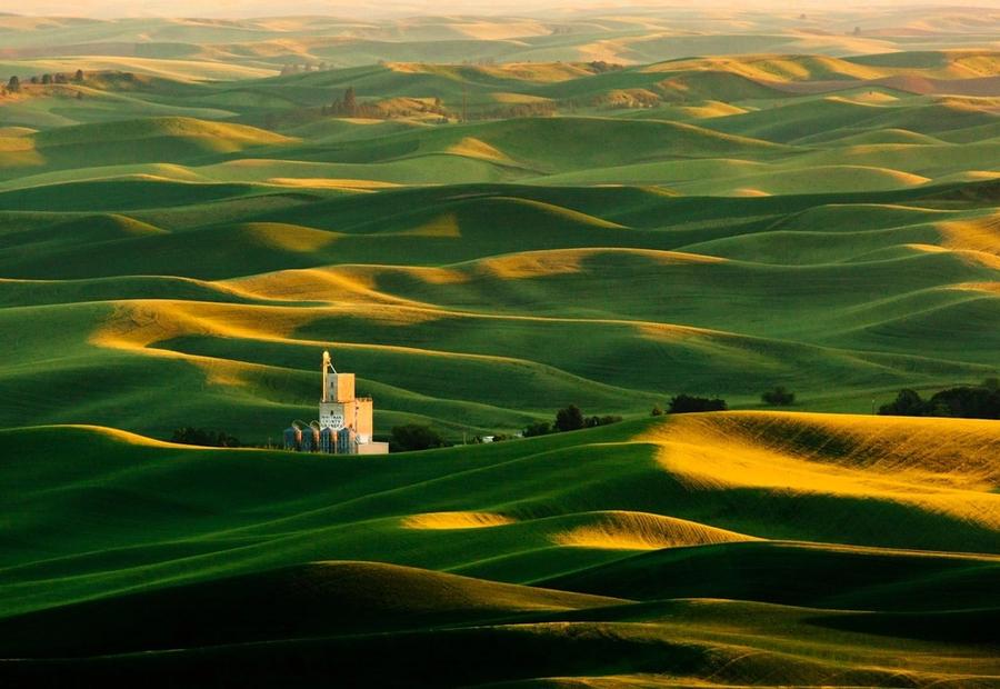 Steptoe Butte near Colfax, WA, showing the rolling hills of the Palouse
