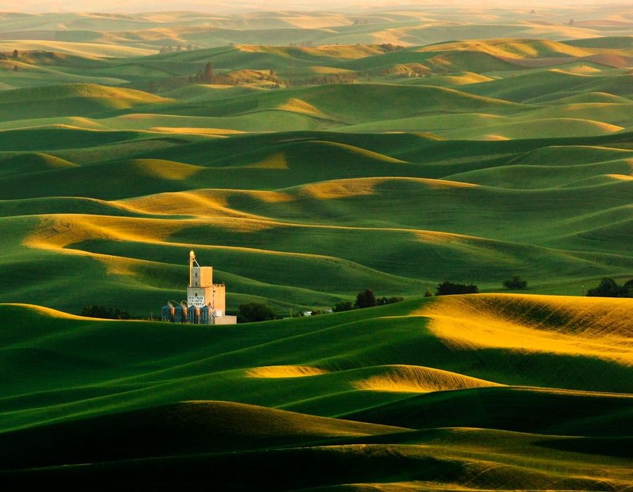 Steptoe Butte near Colfax, WA, showing the rolling hills of the Palouse