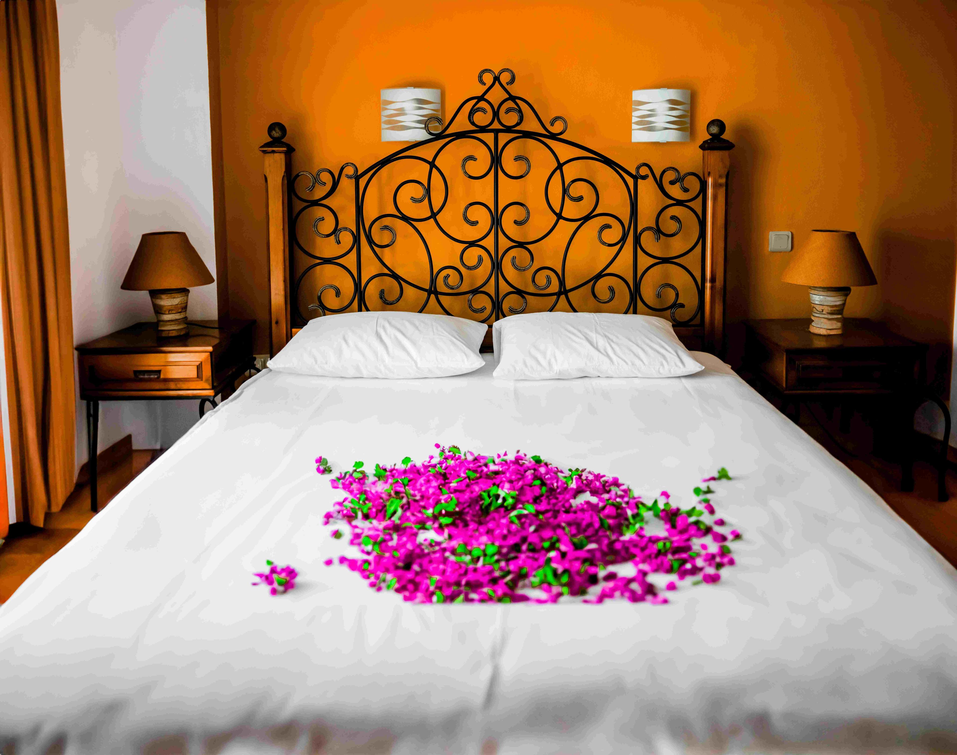 Purple Flower Petals on the Bed. Photo by Umut Sarıalan: https://www.pexels.com/photo/purple-flower-petals-on-the-bed-17301475/