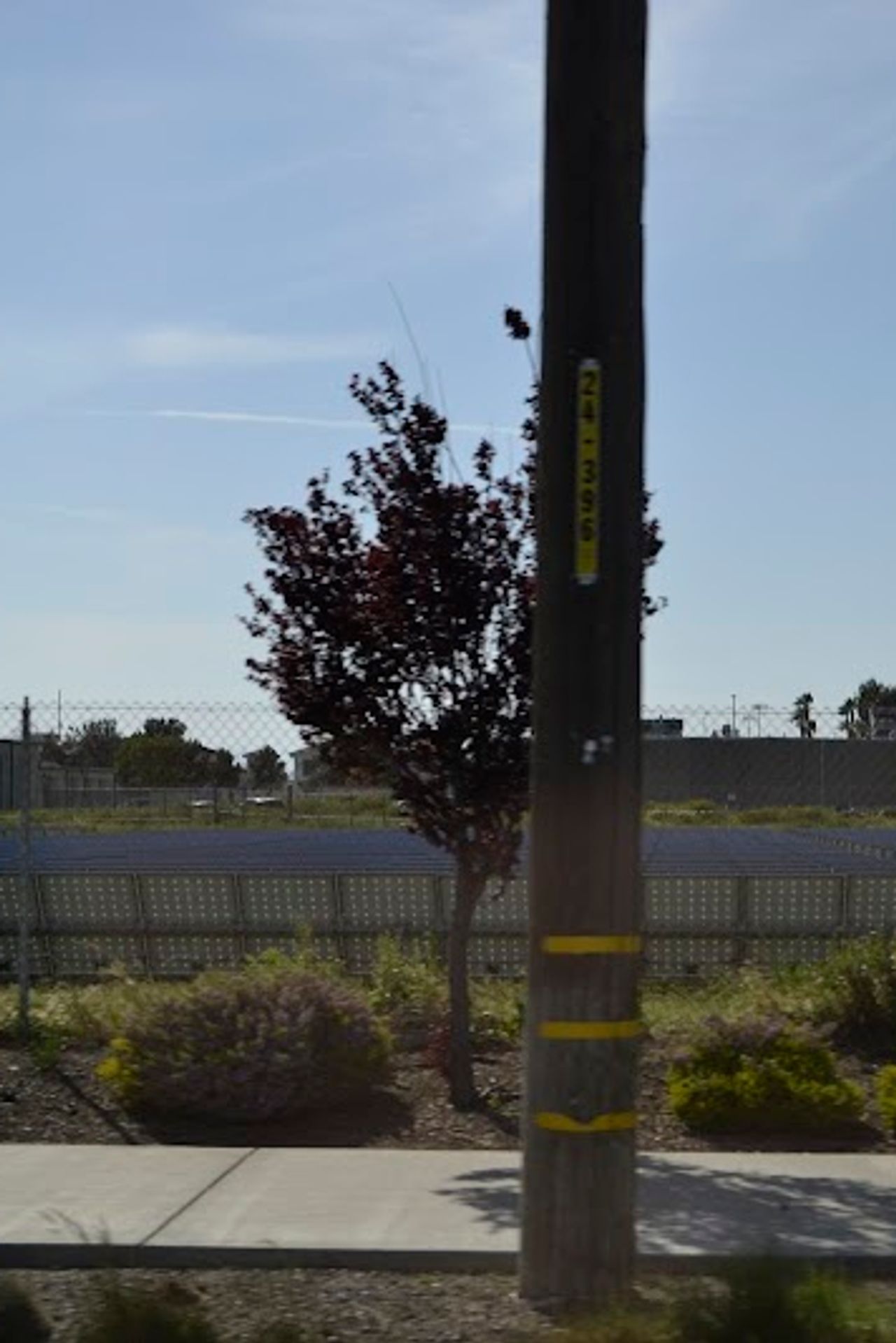 Photo of University Park Inn and Suites