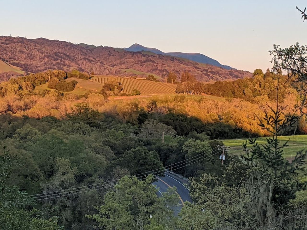 Photo of Wildhaven Sonoma Glamping