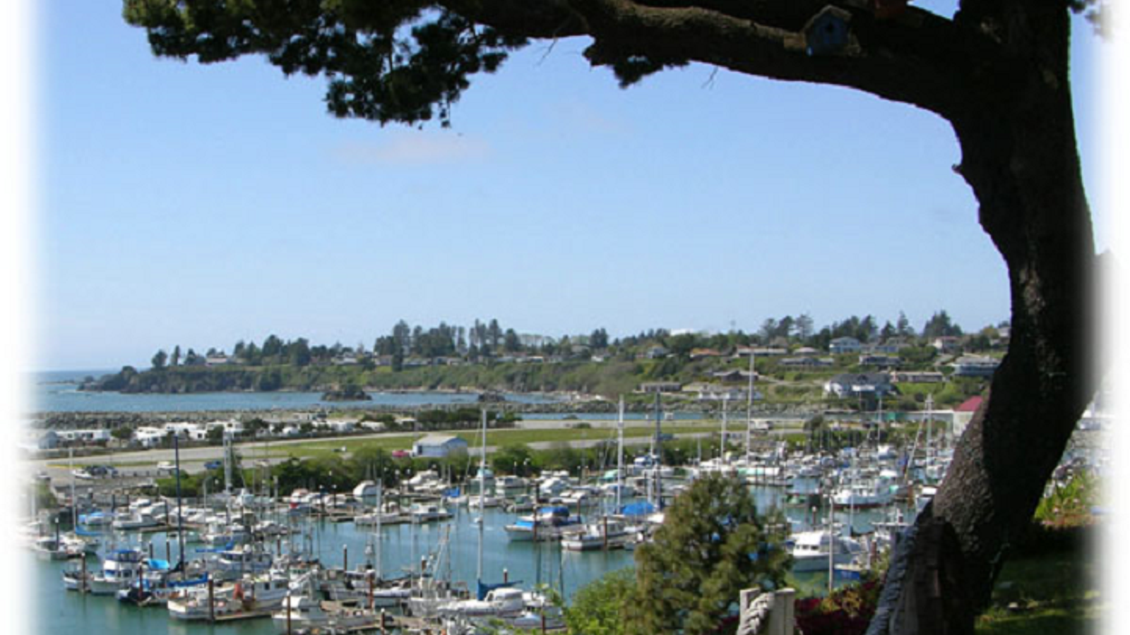 Photo of Ocean Suites Motel