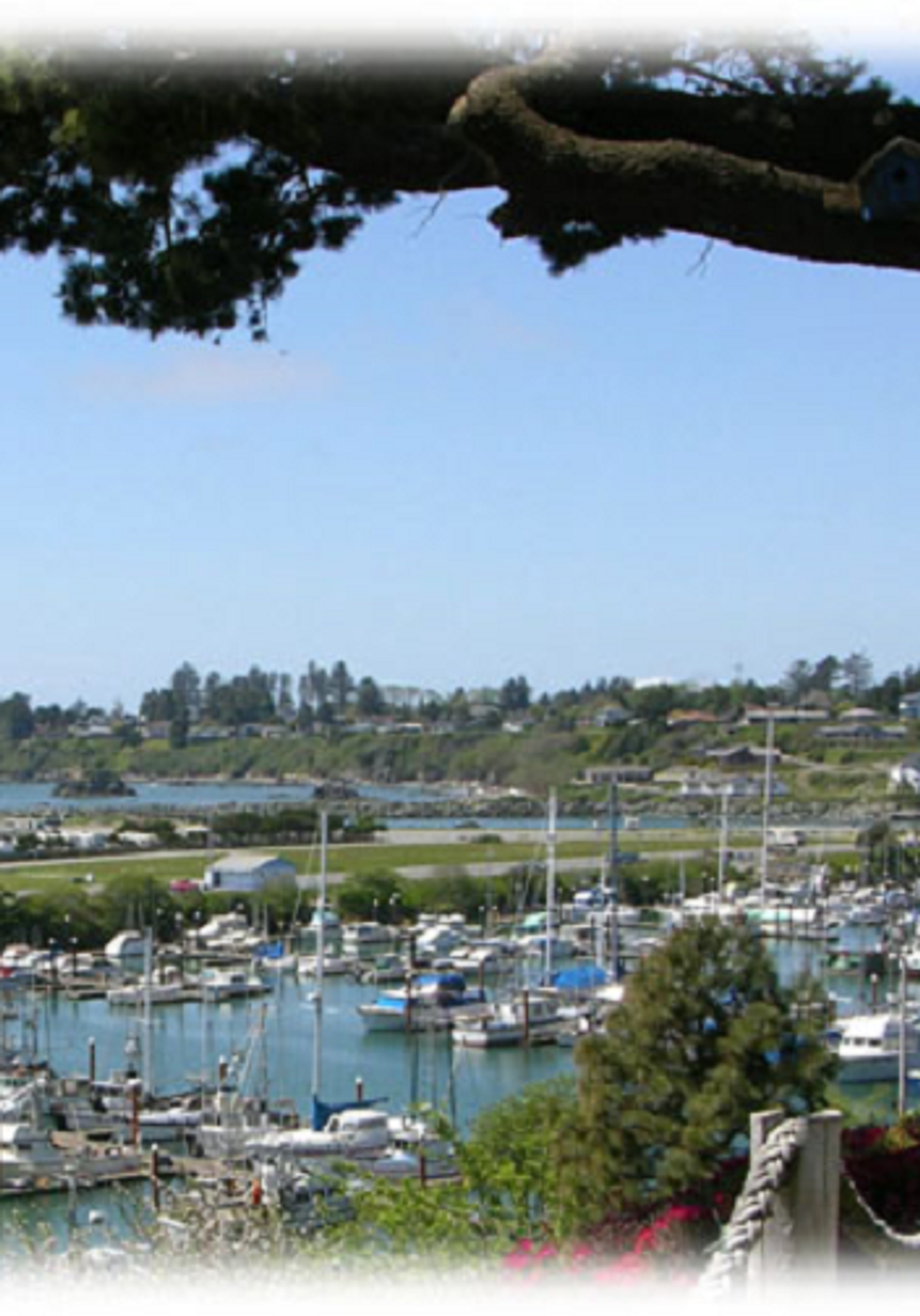 Photo of Ocean Suites Motel