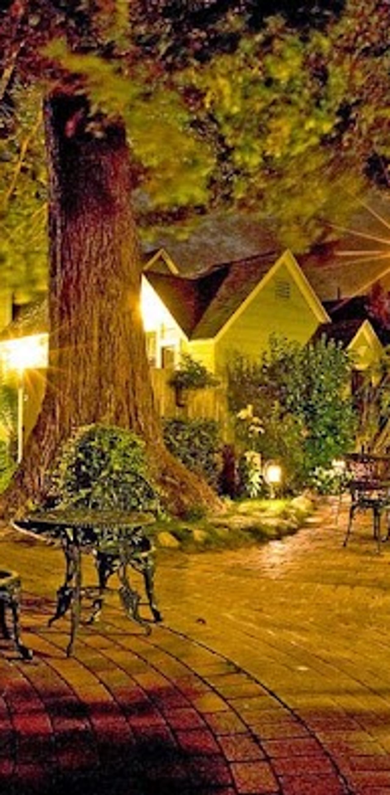Photo of Centrella Hotel, A Kirkwood Collection Hotel - Outdoor seating area