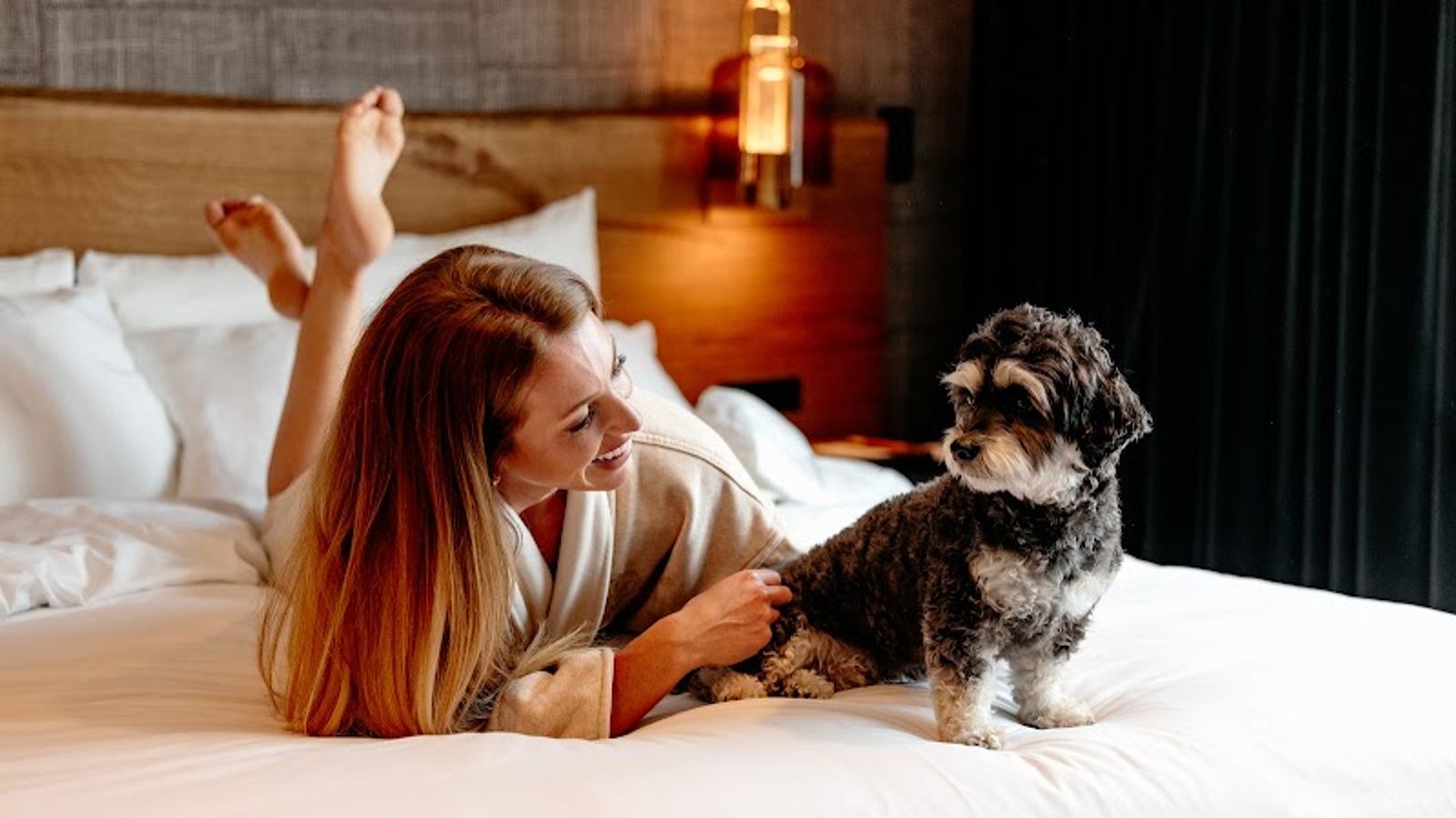 Photo of Hotel Renegade