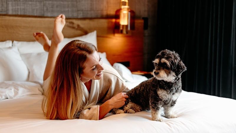 Photo of Hotel Renegade