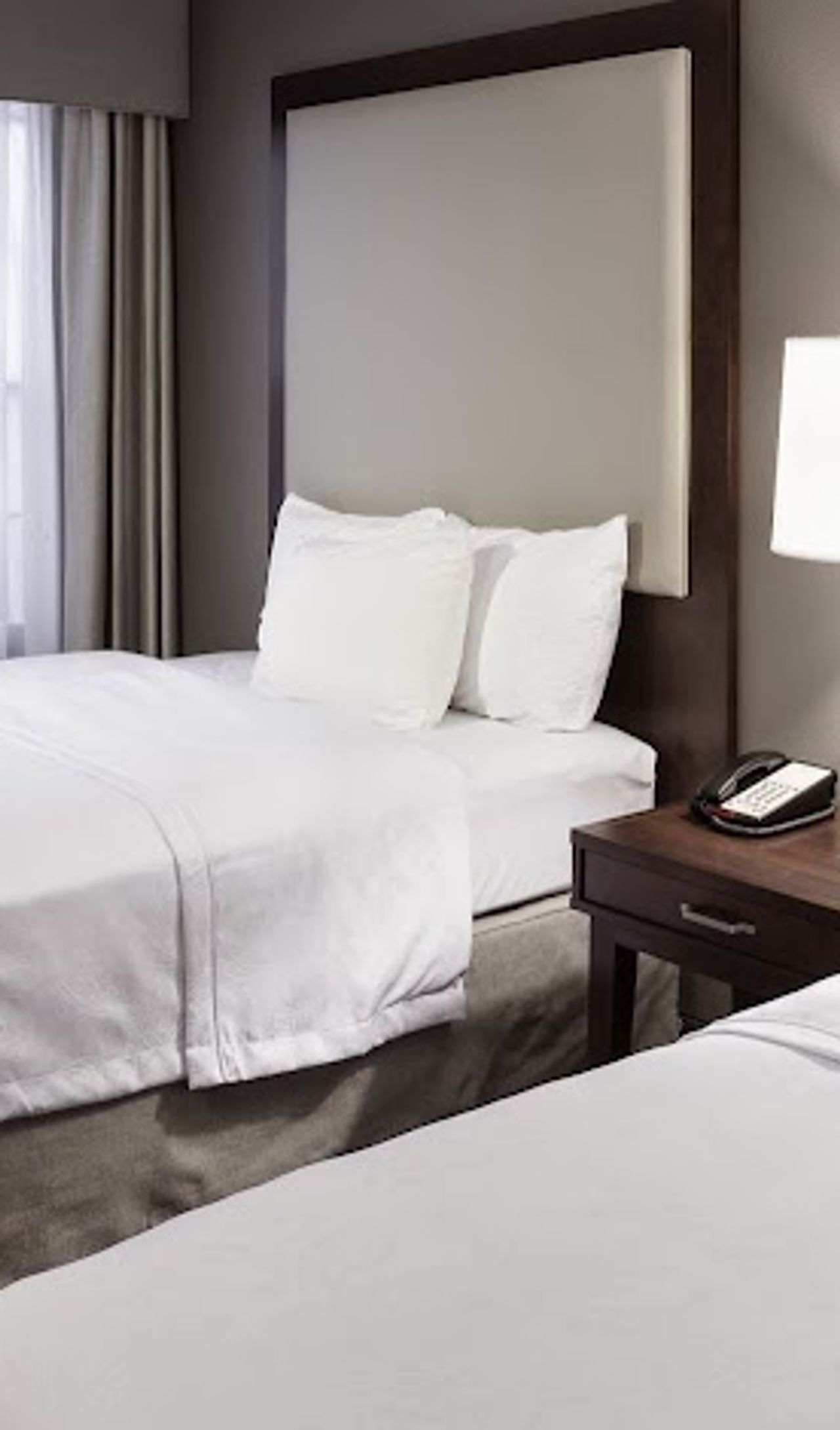 Photo of Homewood Suites by Hilton San Jose Airport-Silicon Valley
