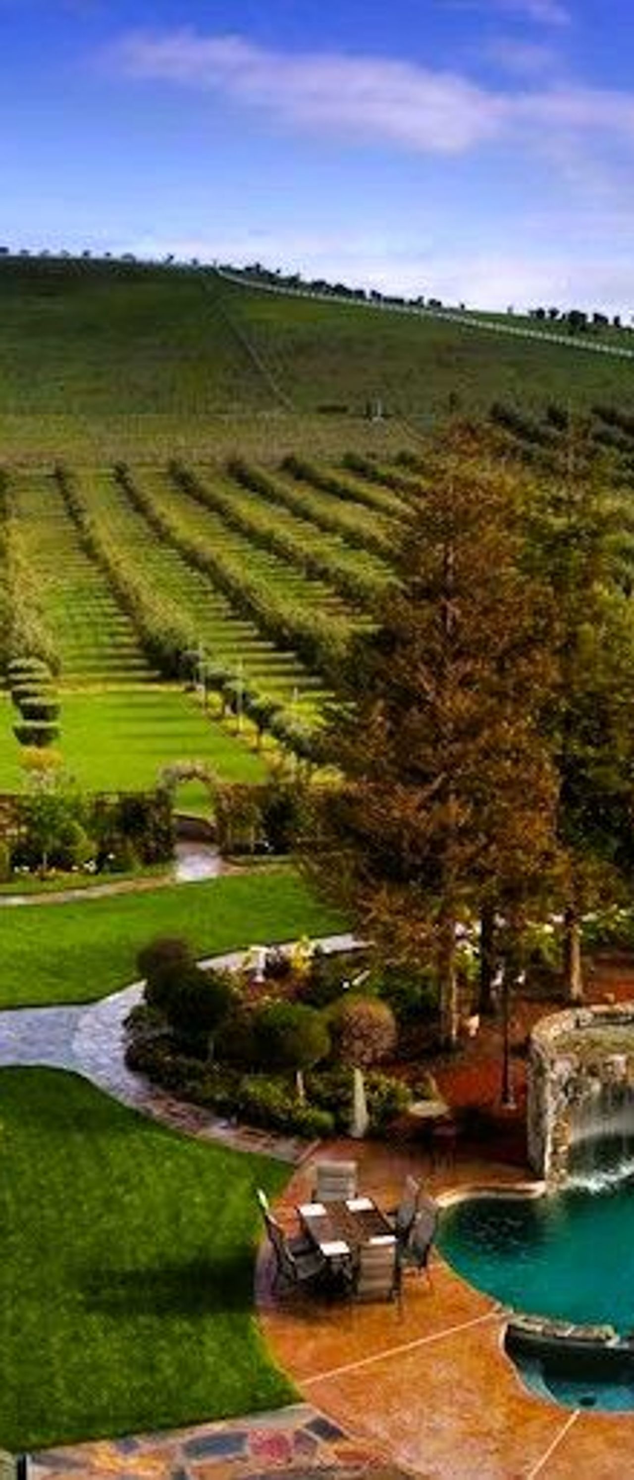 The Purple Orchid | Wine Country Resort & Spa - Arial View