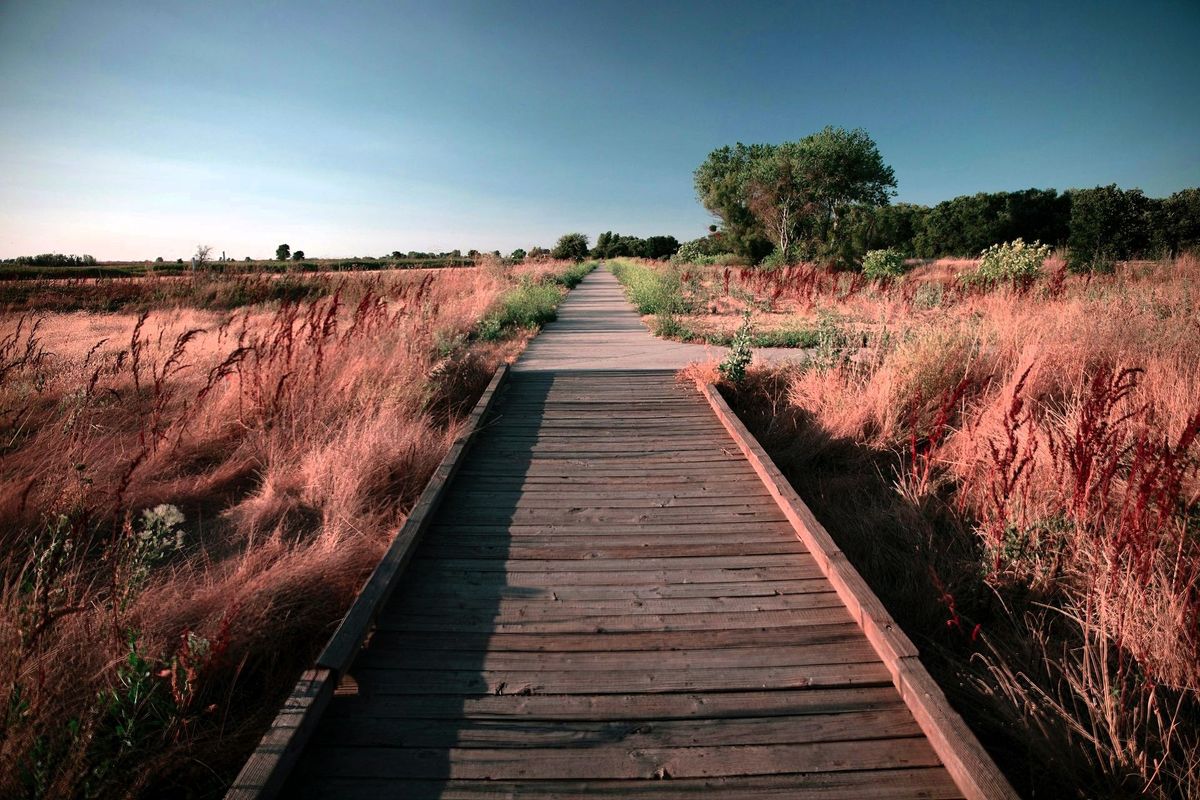 Cosumnes River Preserve, Franklin Boulevard, Galt, CA, USA