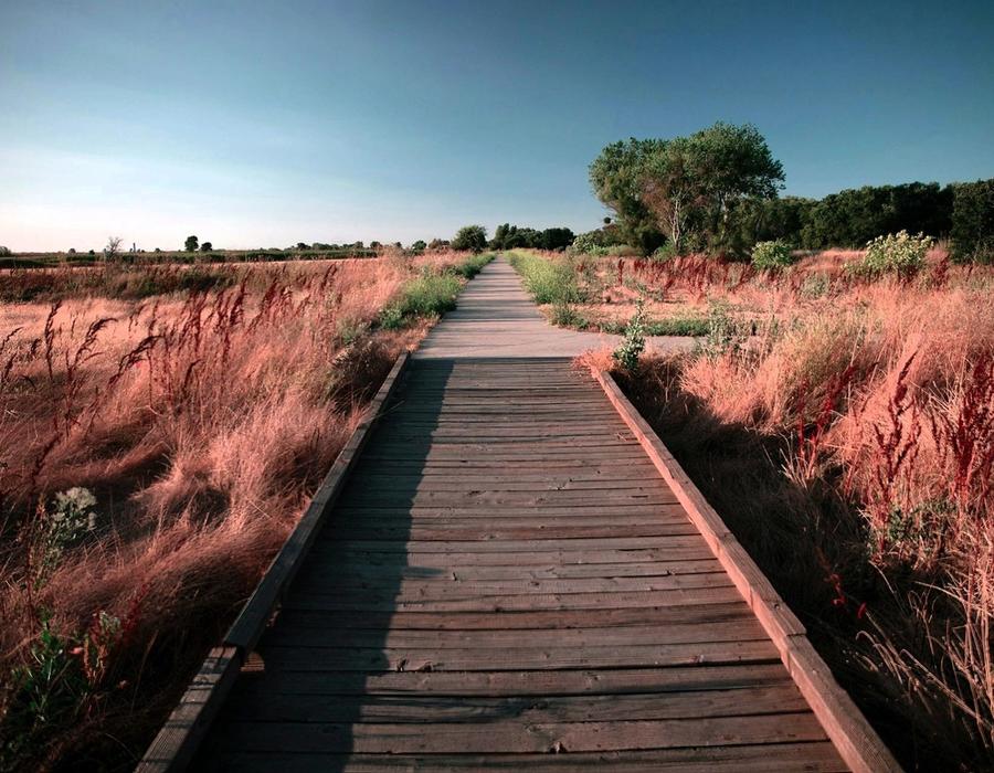 Cosumnes River Preserve, Franklin Boulevard, Galt, CA, USA