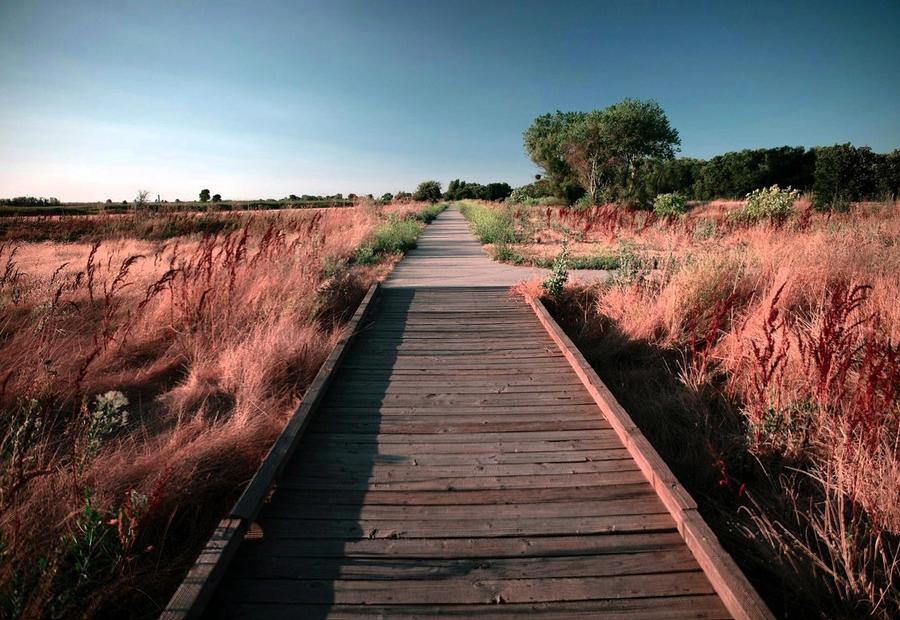 Cosumnes River Preserve, Franklin Boulevard, Galt, CA, USA