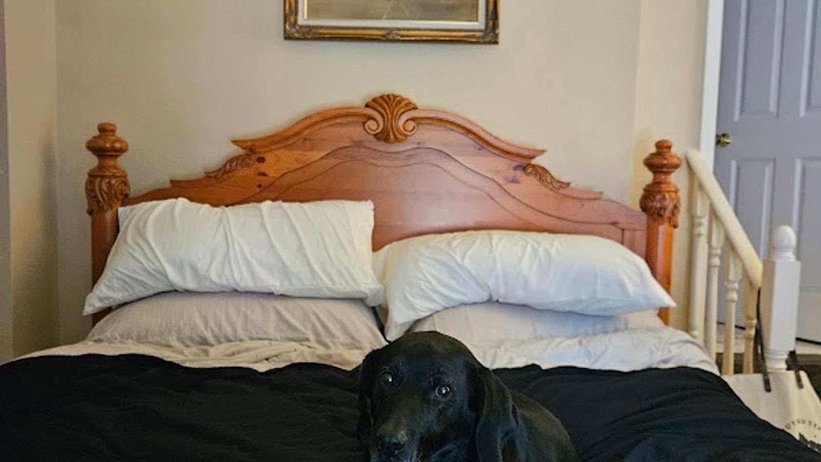 Photo of The Orth House Inn by Remotion