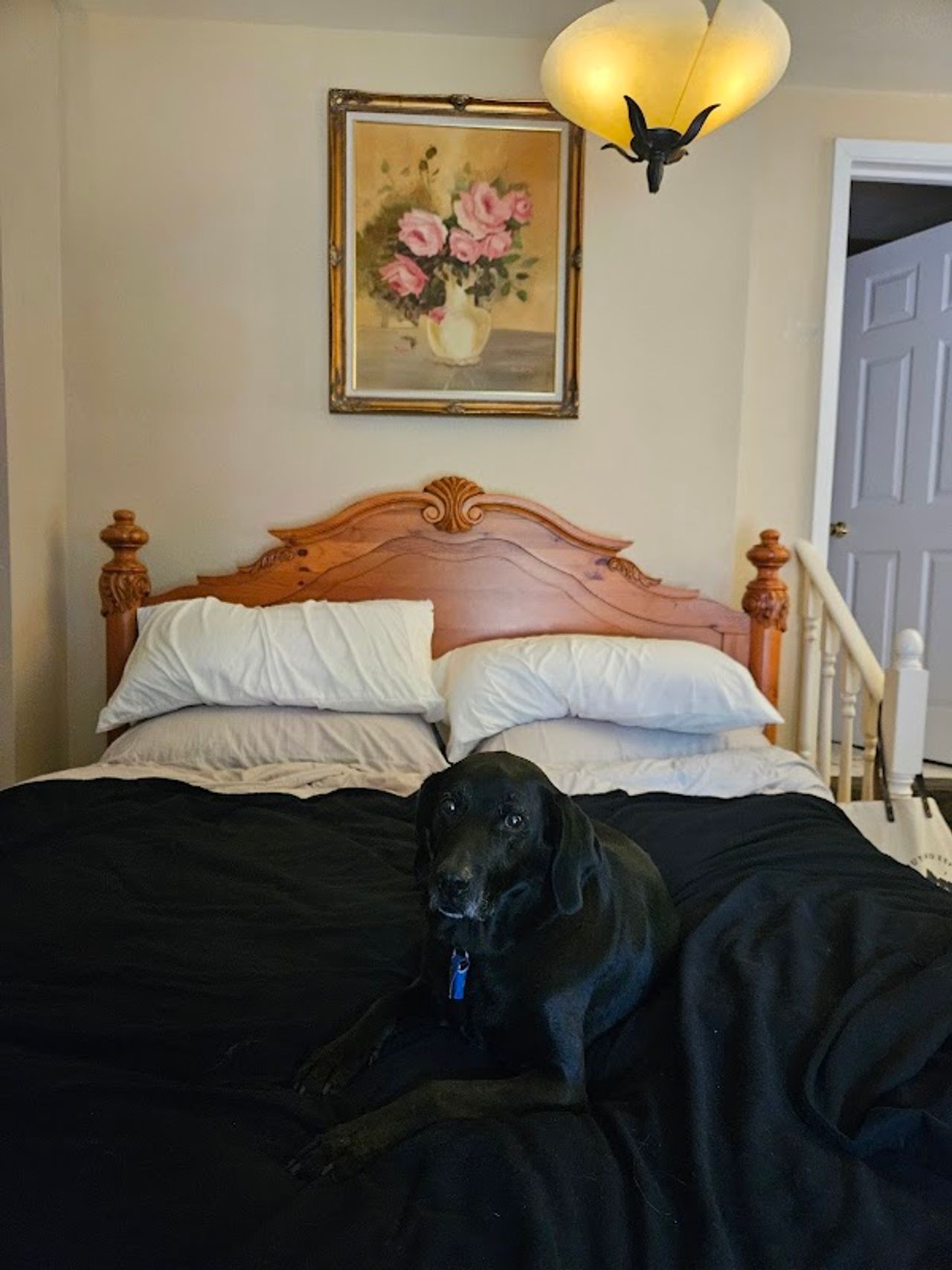 Photo of The Orth House Inn by Remotion