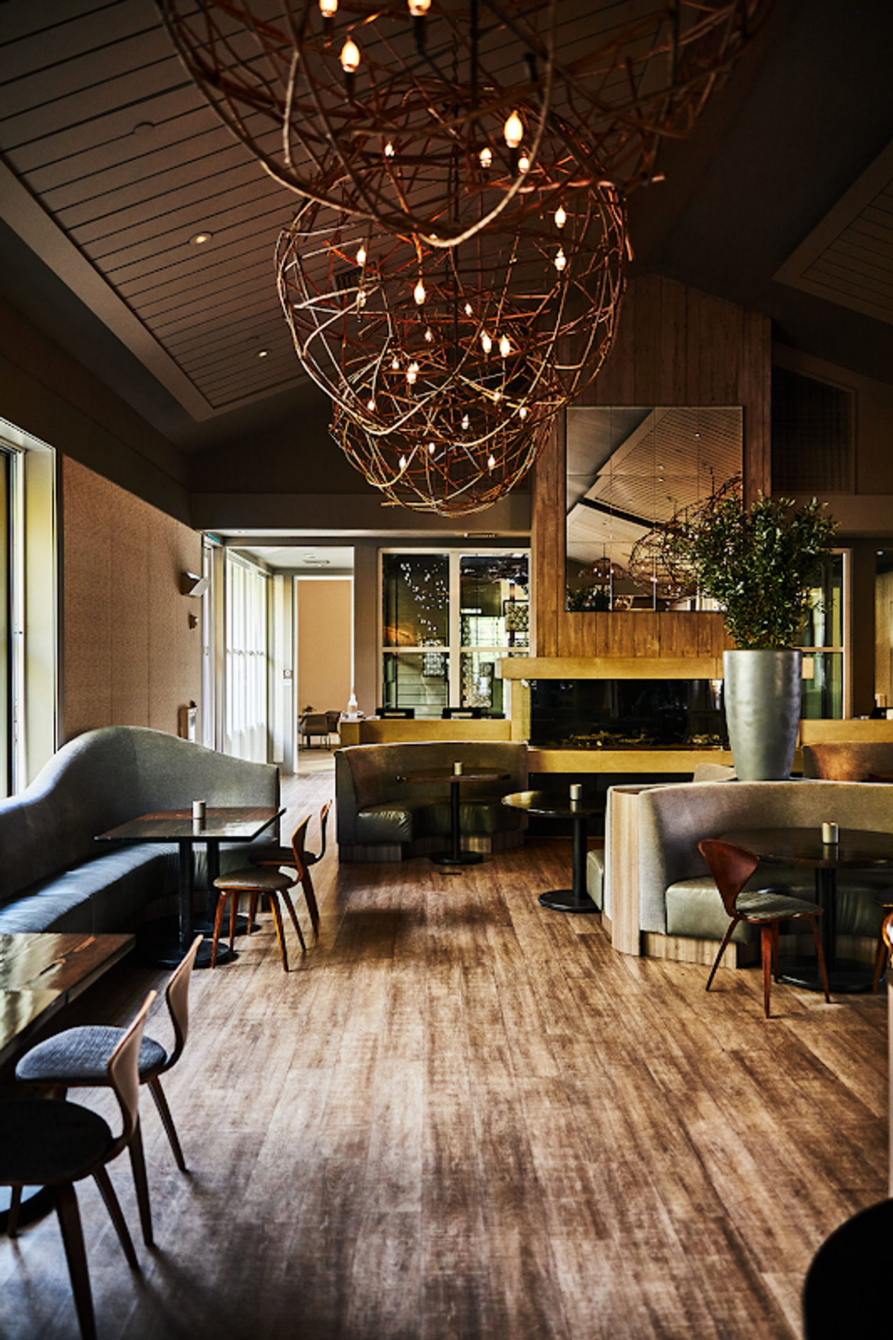 Photo of Solage, Auberge Resorts Collection