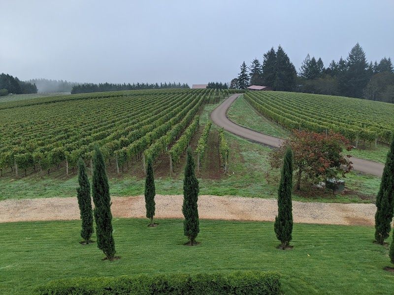 Photo of Black Walnut Inn & Vineyard - Vineyard View