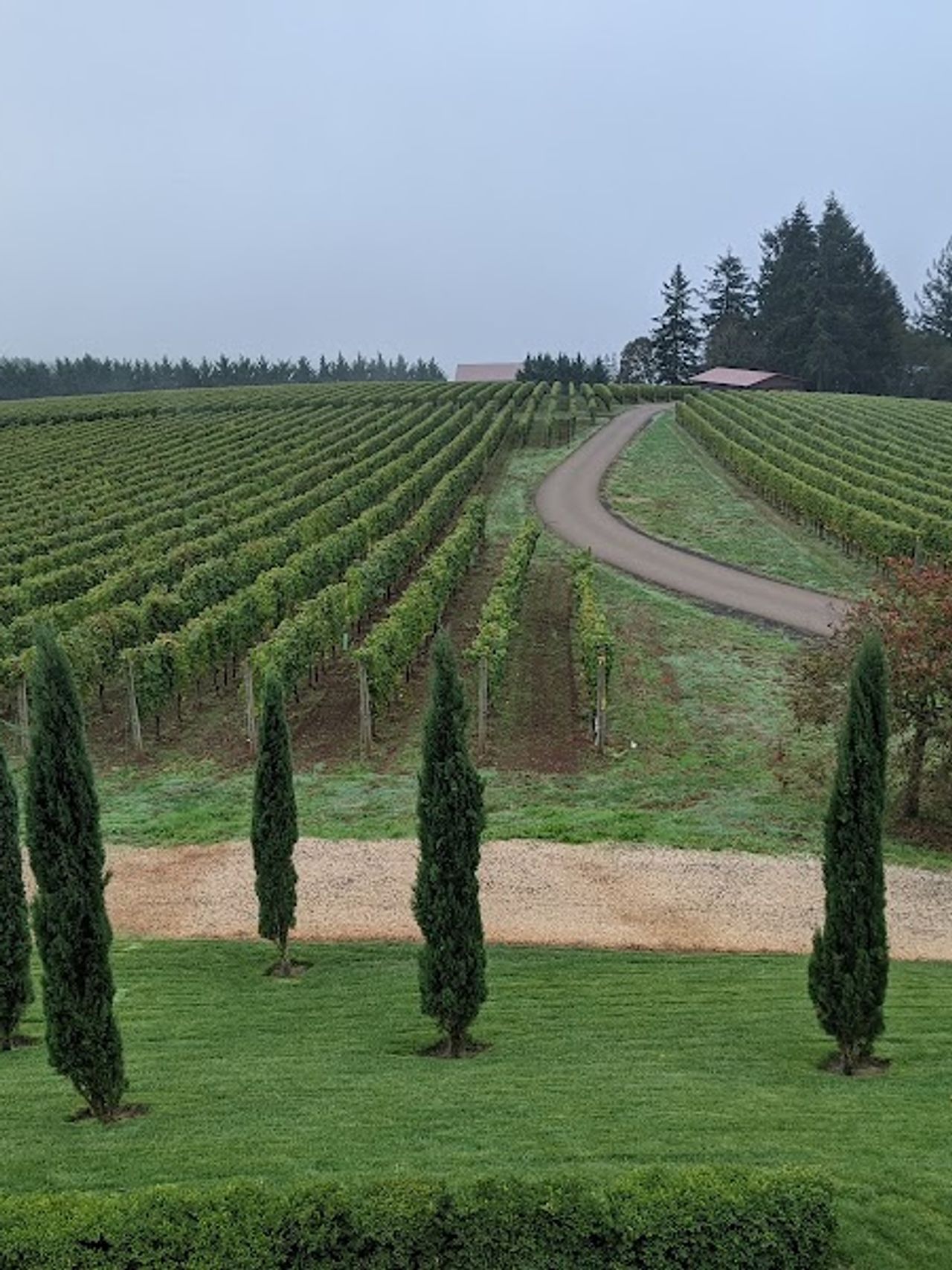 Photo of Black Walnut Inn & Vineyard - Vineyard View