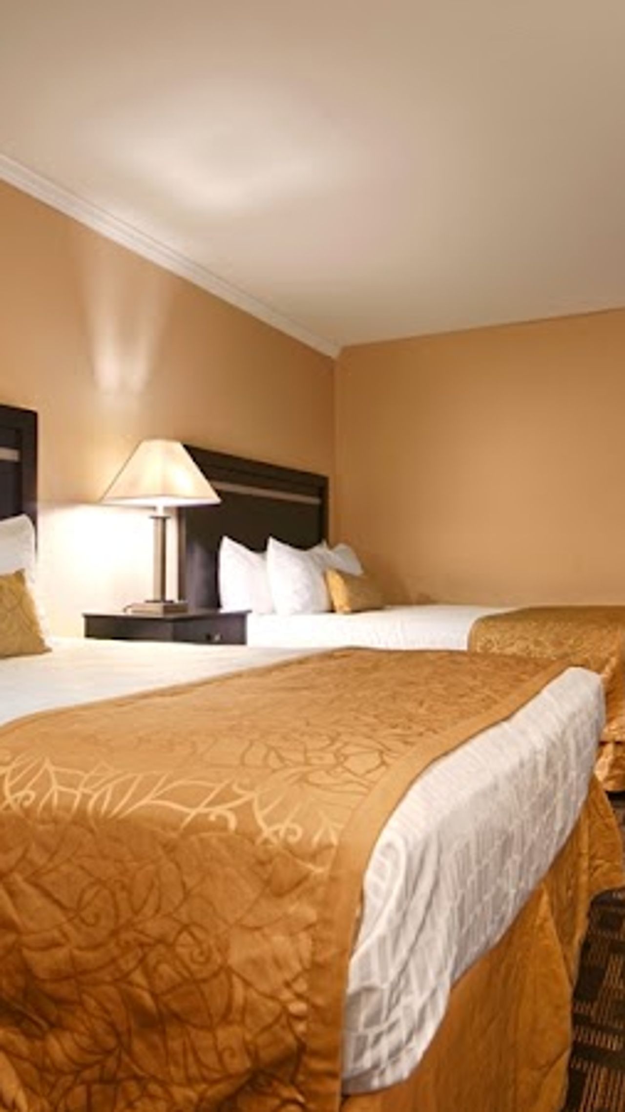 Photo of Best Western Plus Inn of Hayward