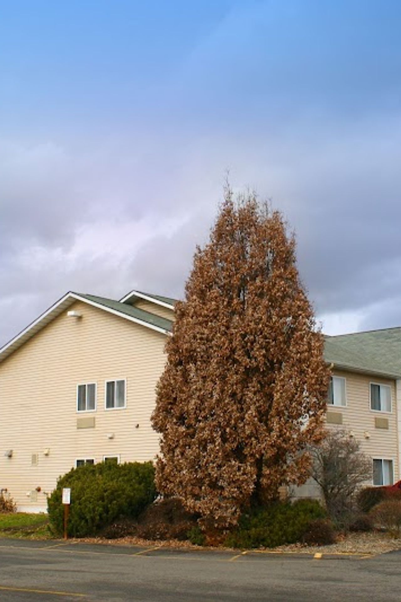 Photo of Comfort Inn Ellensburg