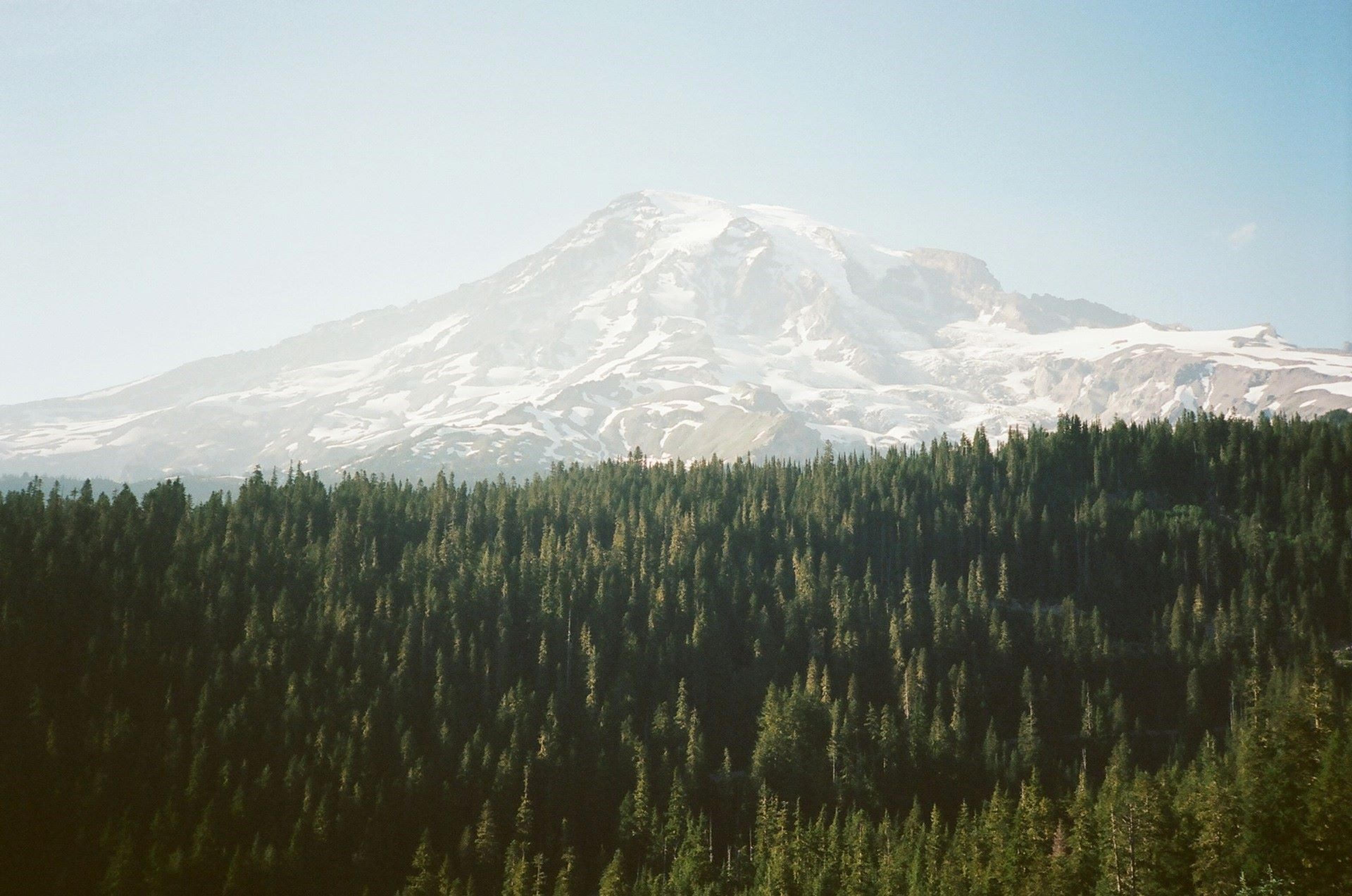 Mount Rainier, Ashford, United States