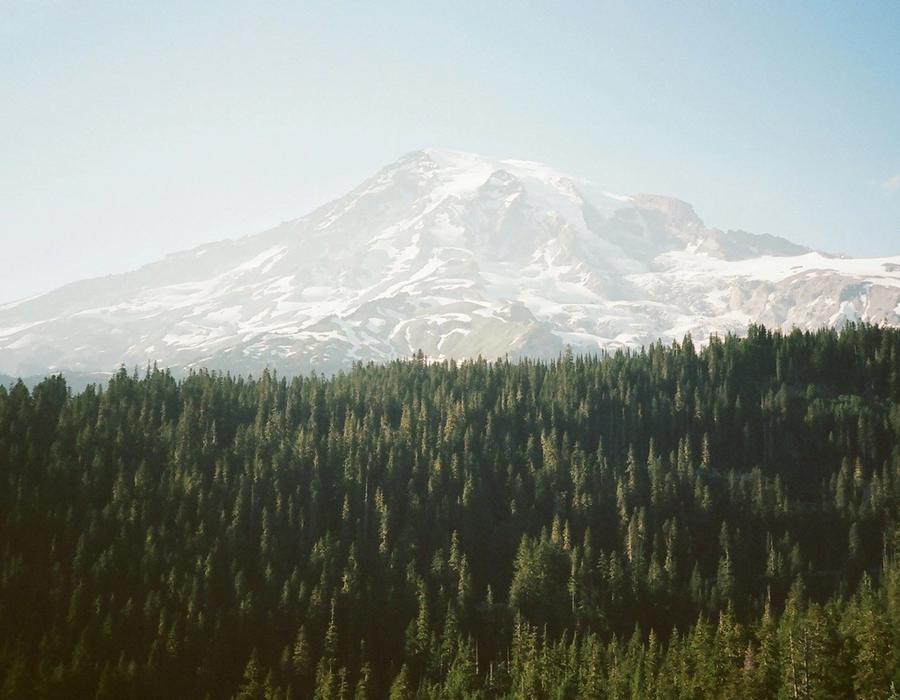 Mount Rainier, Ashford, United States