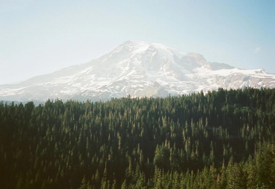Mount Rainier, Ashford, United States