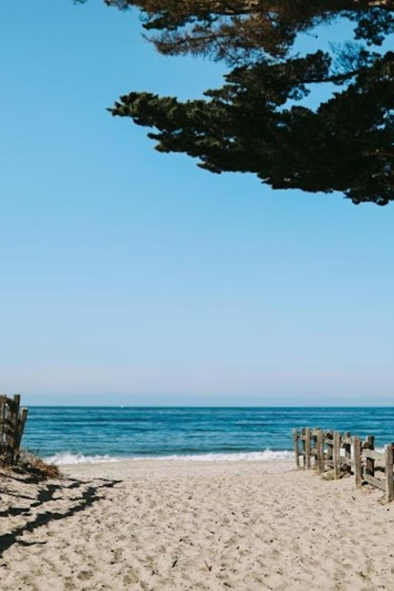 Photo of Hotel 1110 - Beach, Ocean