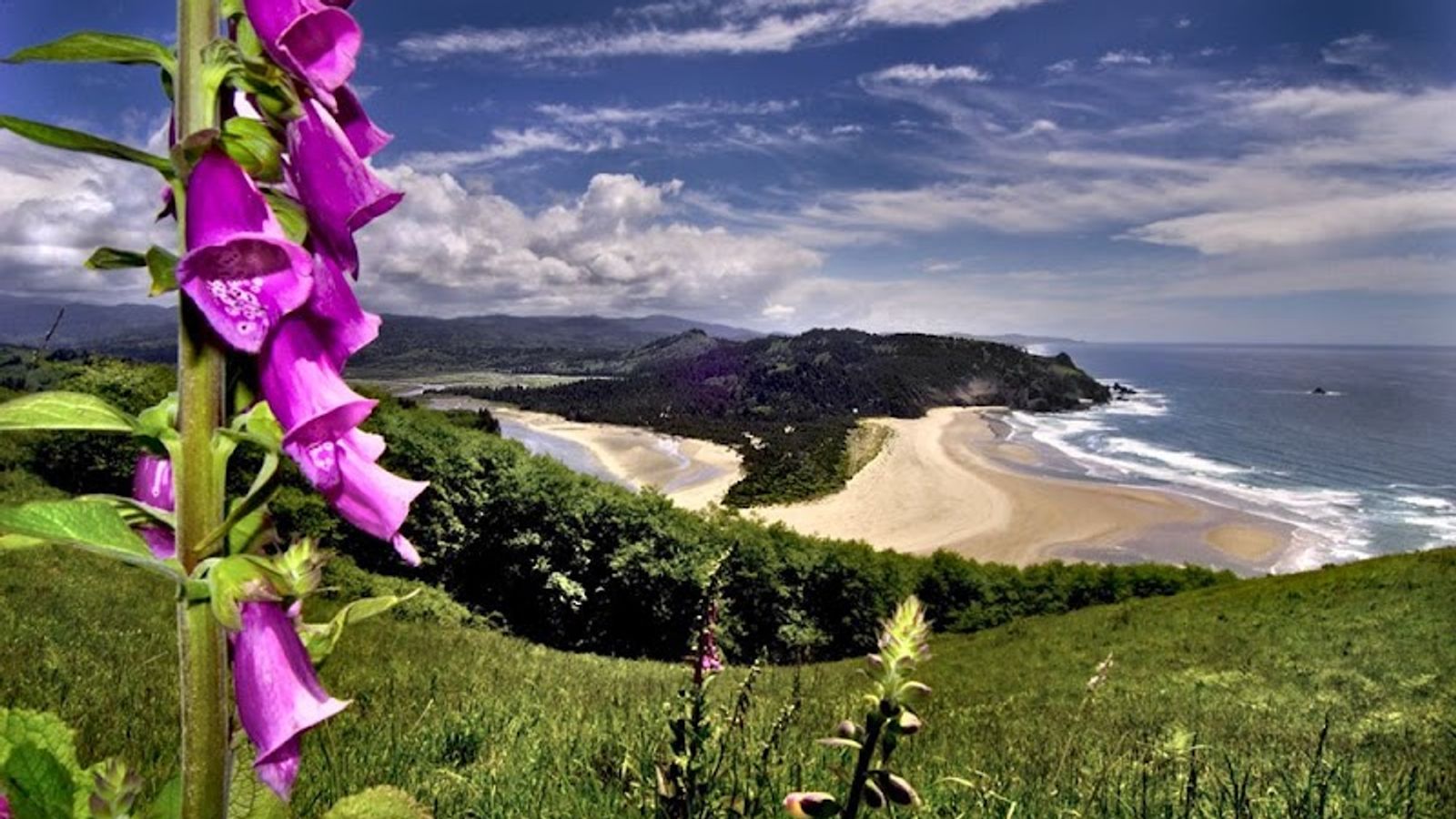 Photo of Inn at Wecoma