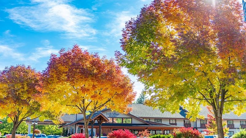 Photo of Icicle Village Resort