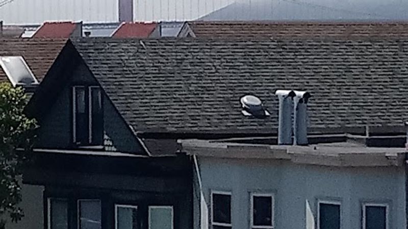 Photo of Coventry Inn