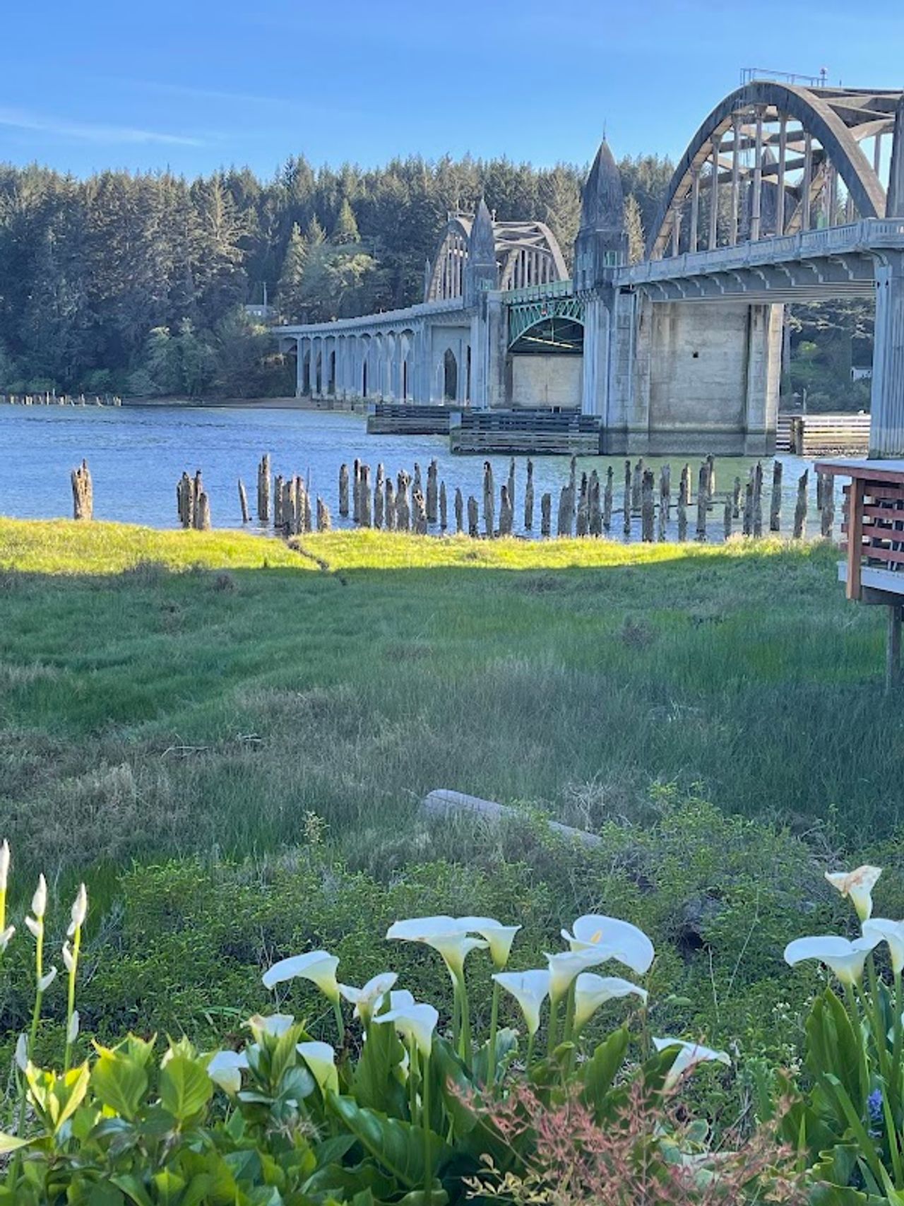Photo of Super 8 Florence OR (Previously Old Town Inn) - Siuslaw River Bridge in Florence, Oregon, USA