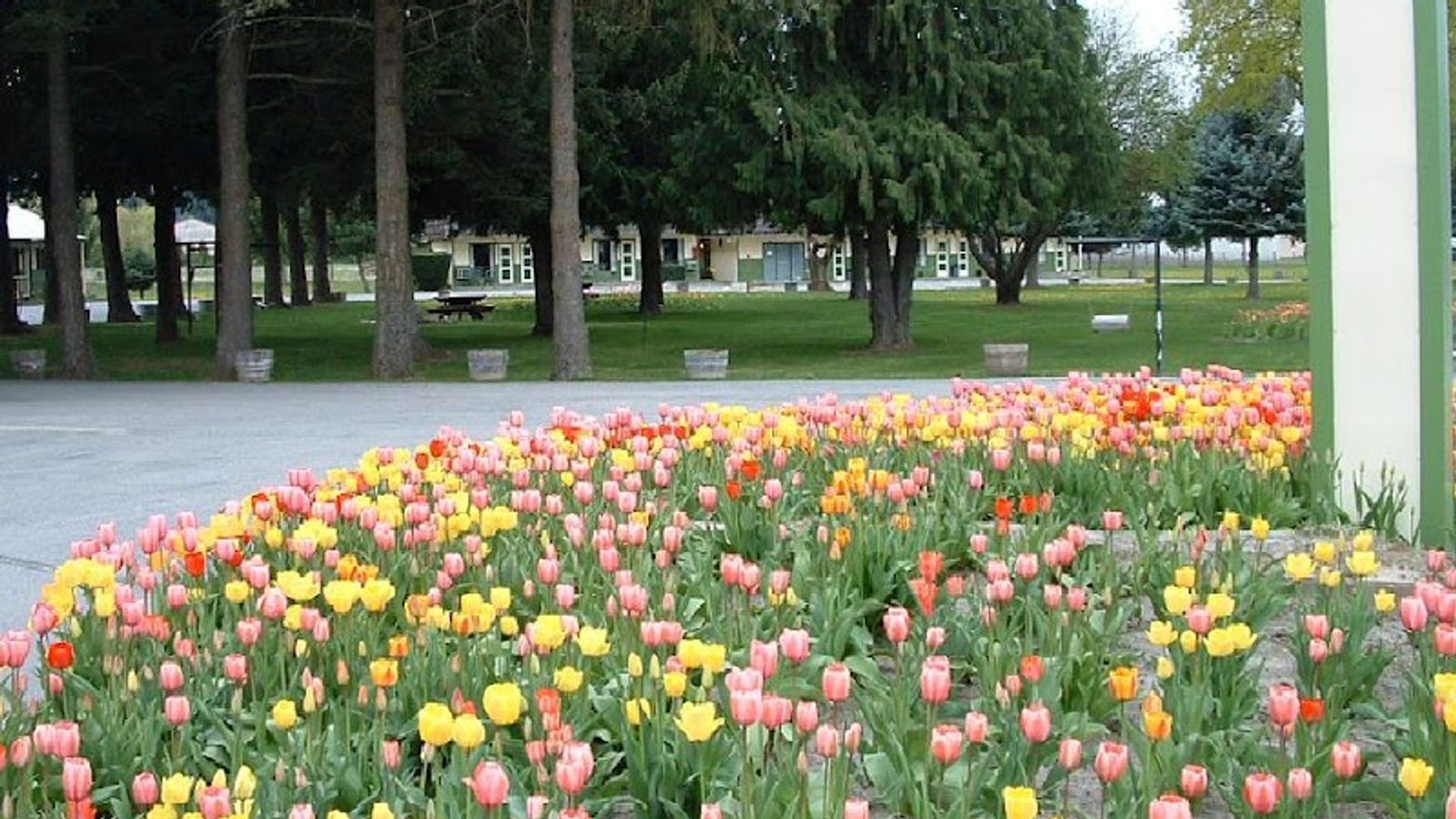 Photo of Kootenai Valley Motel