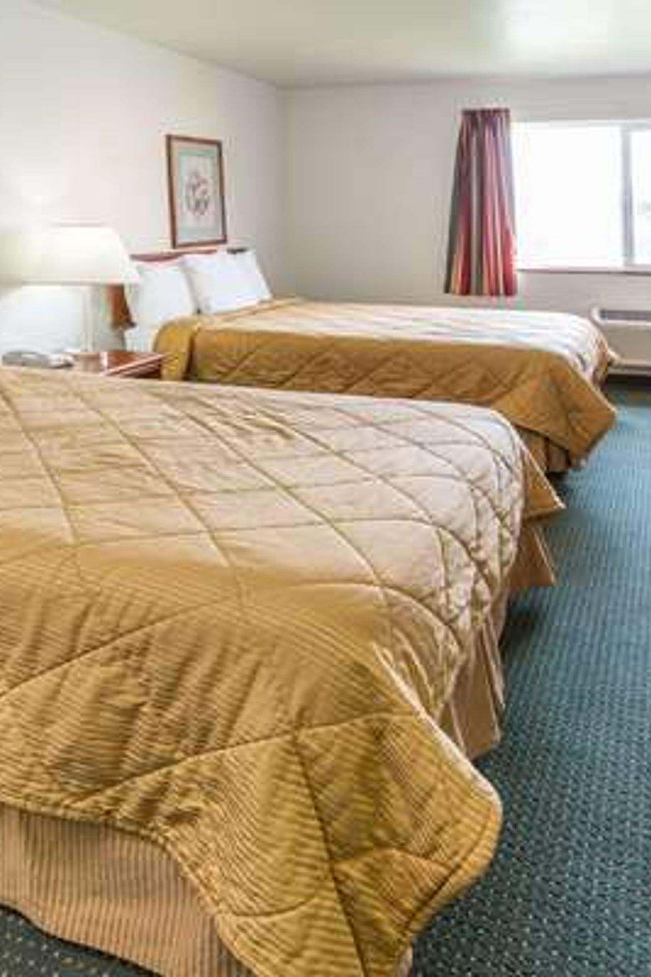 Photo of Travelodge Suites by Wyndham Newberg - Room, 2 queen beds, Flat TV, Work desk
