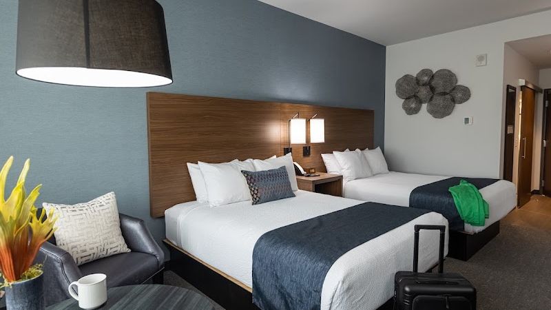 Photo of Hayward Inn - Room, 2 Queen Beds