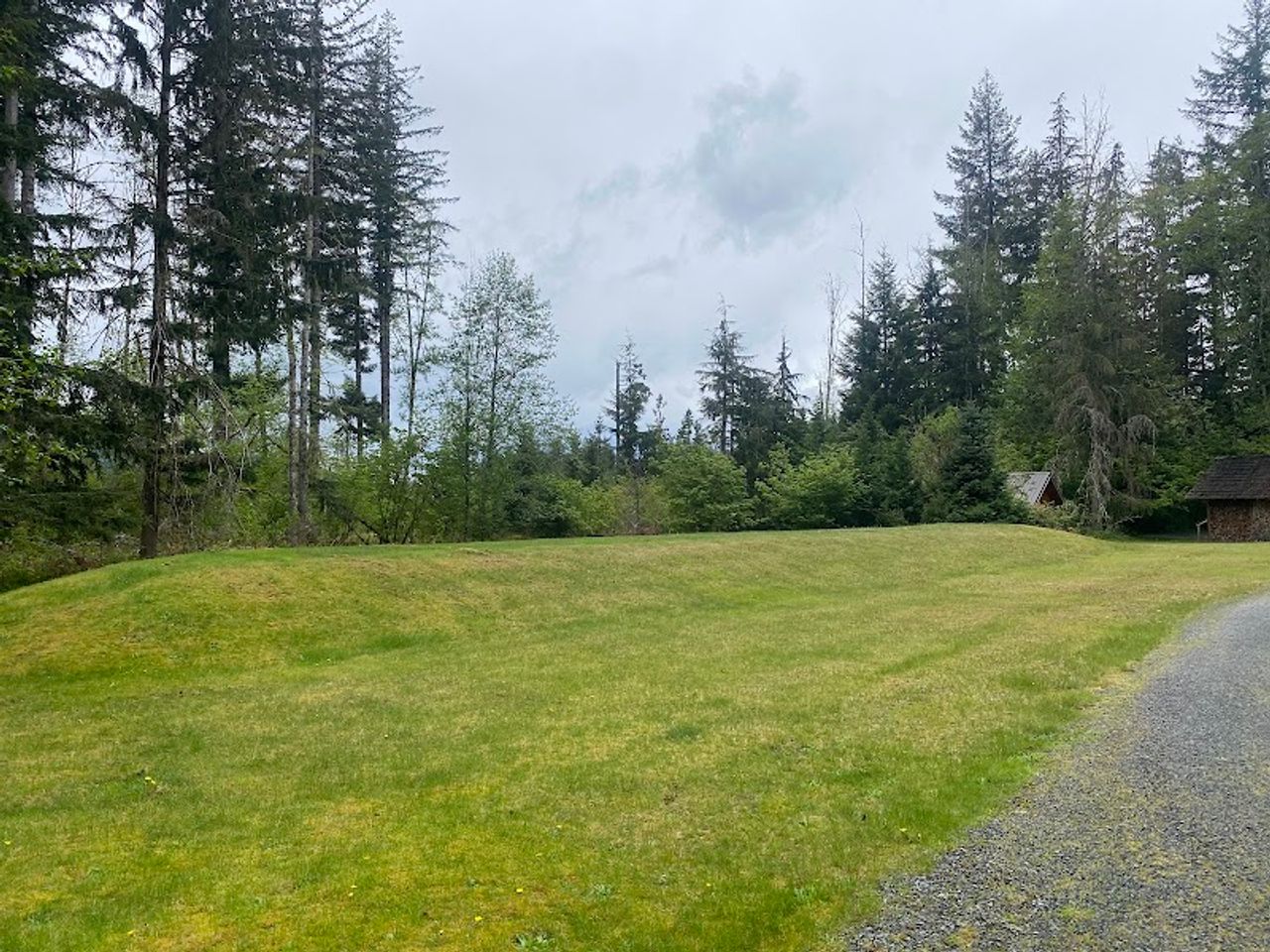 Photo of Almost Paradise Lodging at Mt. Rainier - Property grounds