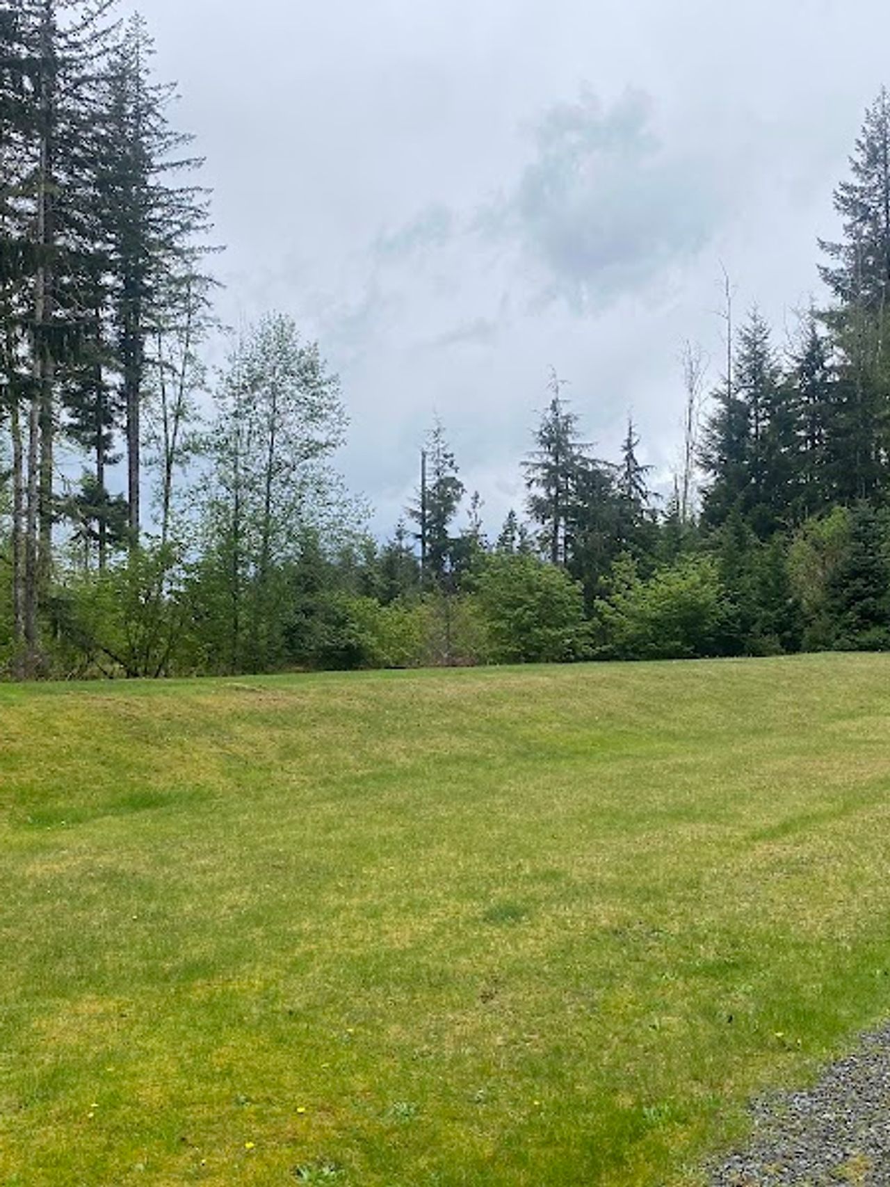 Photo of Almost Paradise Lodging at Mt. Rainier - Property grounds