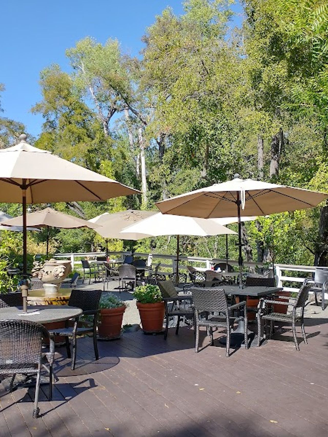 Photo of The Jack London Lodge