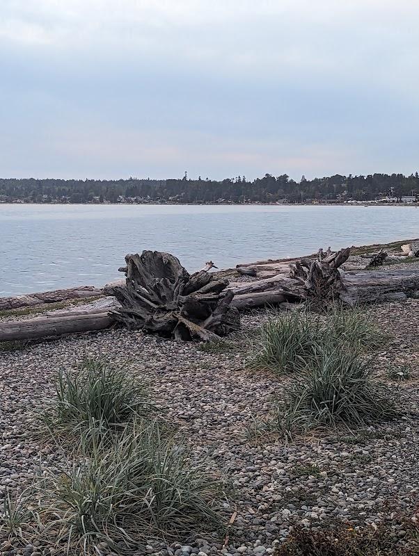 Photo of Worldmark Birch Bay