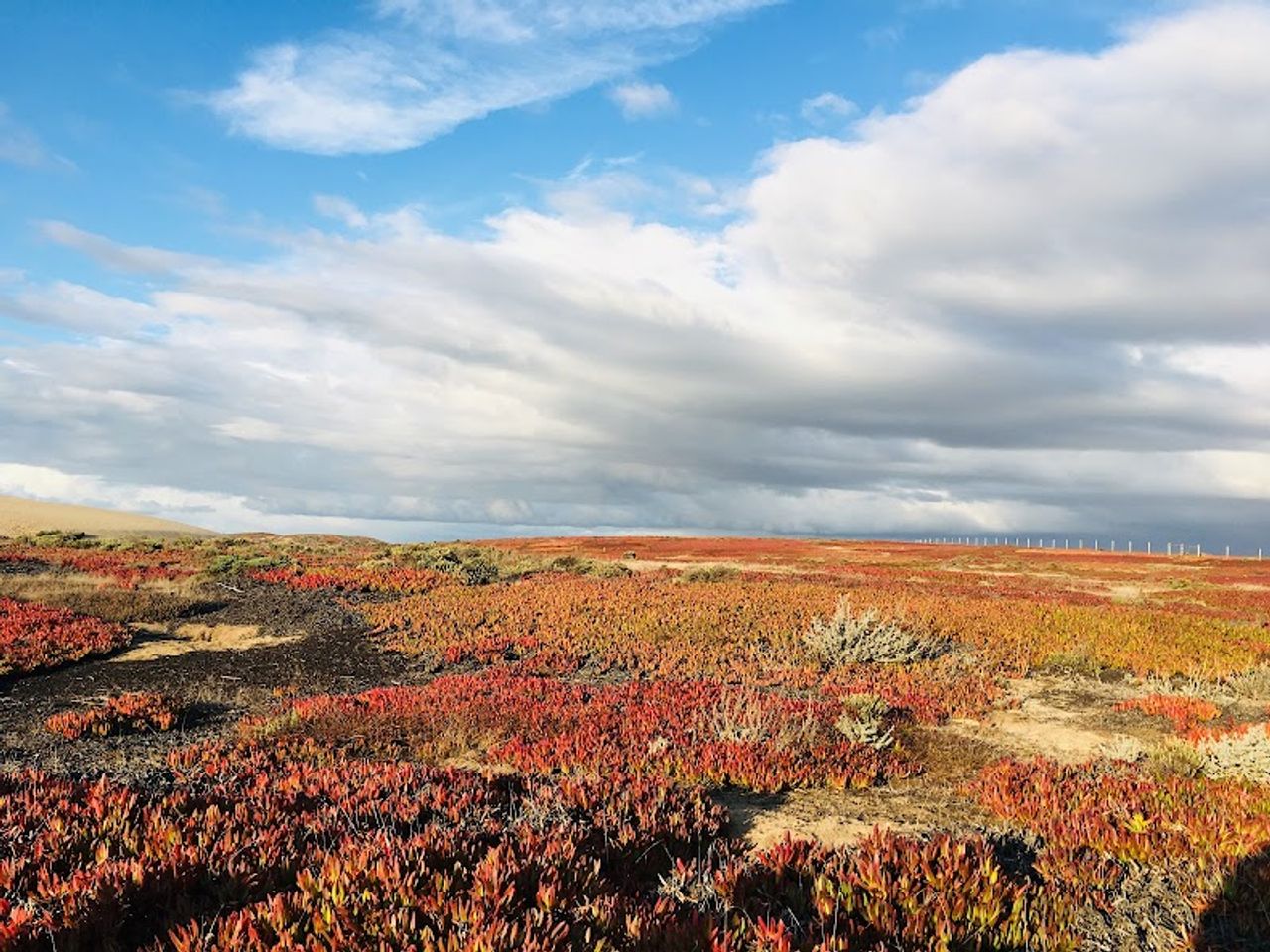 Photo of Marina Dunes RV Park