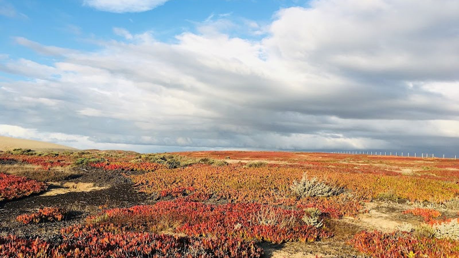 Photo of Marina Dunes RV Park