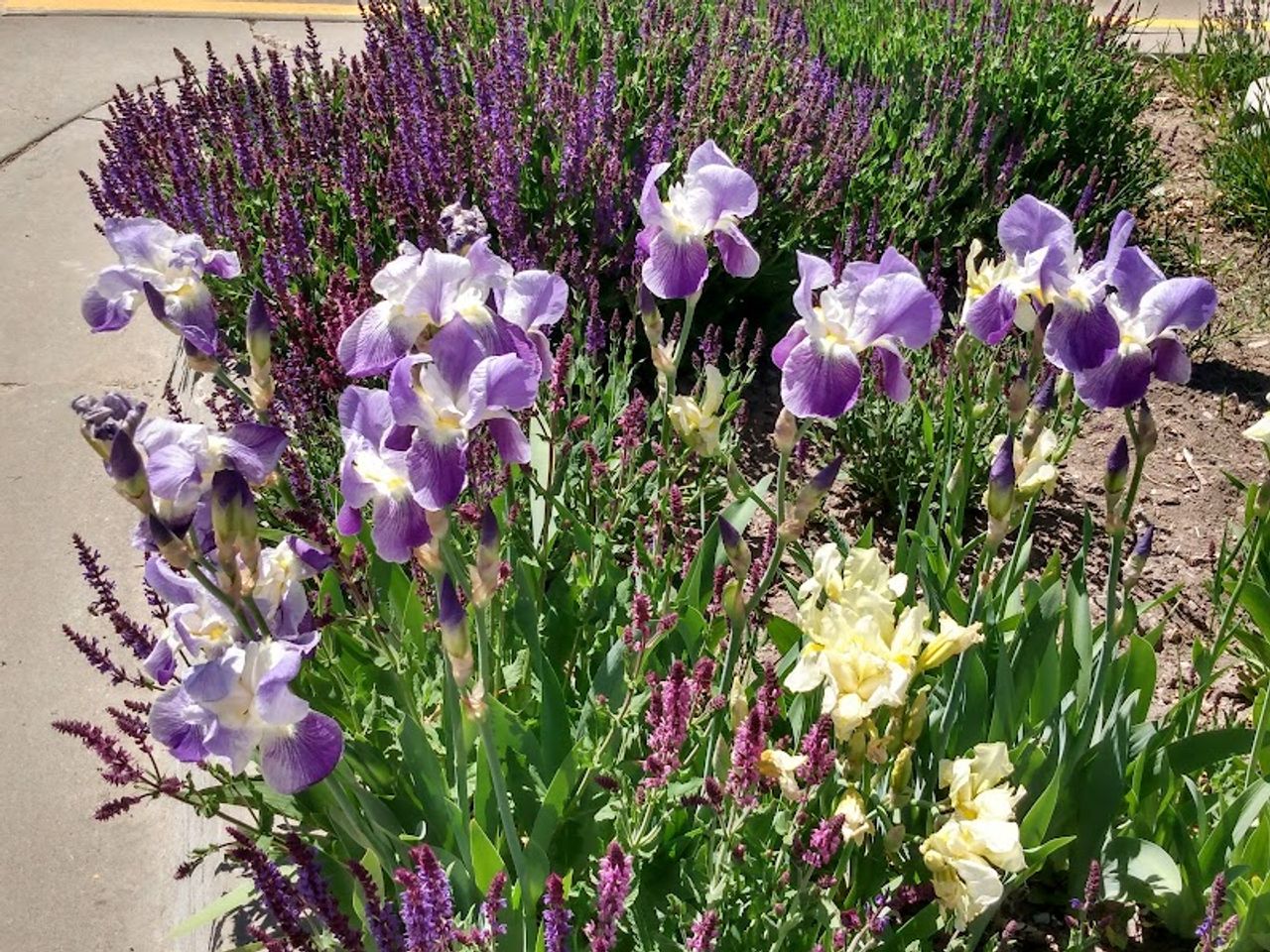 Photo of Clover Creek Inn